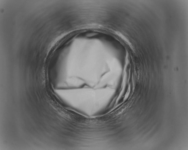 X0000074211364200609151546