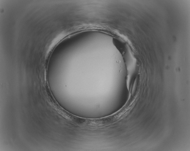 X0000074211365200609151546