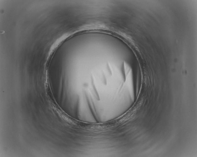 X0000074211366200609151546