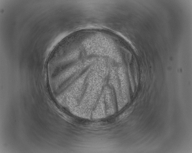 X0000074211367200609151546