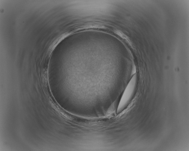 X0000074211369200609151545