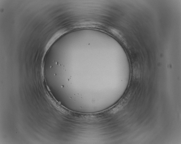 X0000074211370200609151545