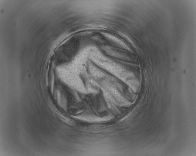 X0000074211371200609151545