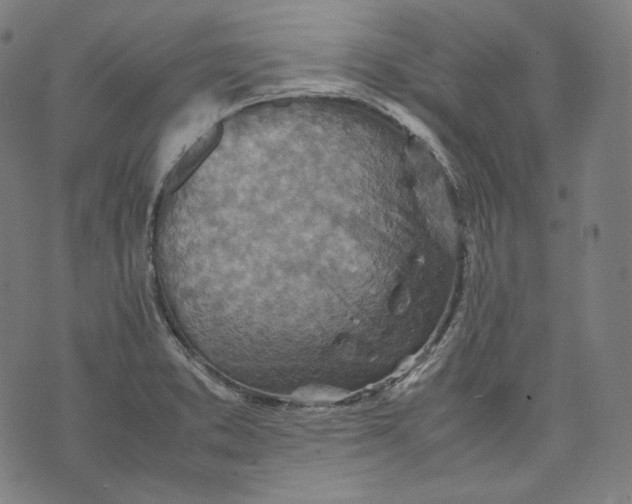 X0000074211373200609151545