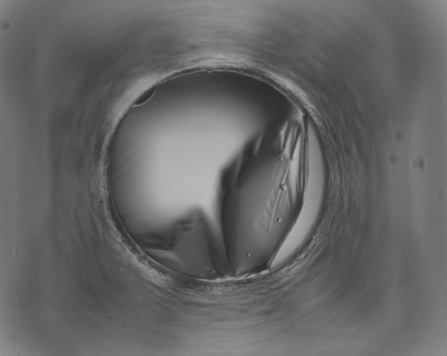 X0000074211375200609151545