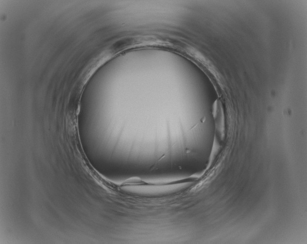 X0000074211377200609151545