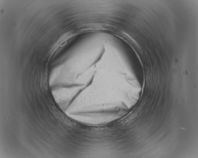 X0000074211378200609151545