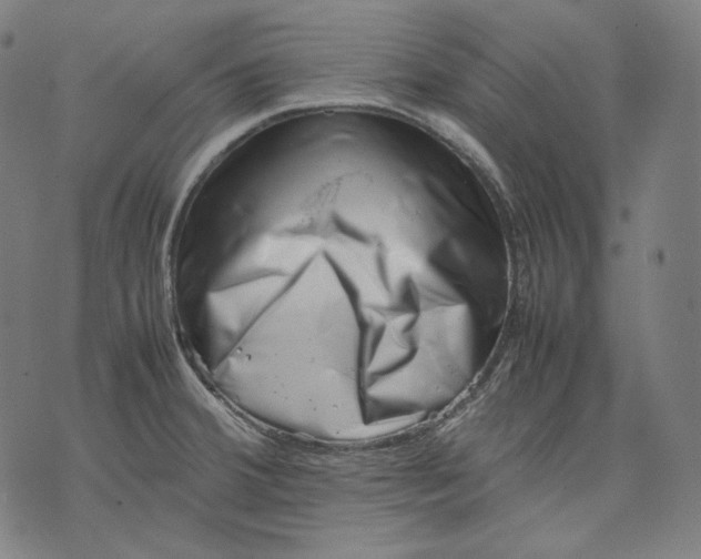 X0000074211380200609151545