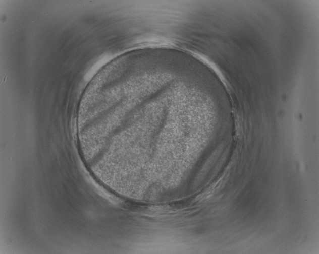 X0000074211383200609151545