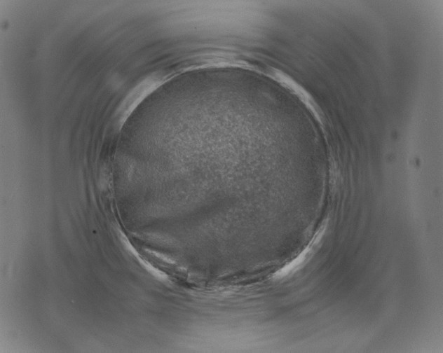 X0000074211385200609151545