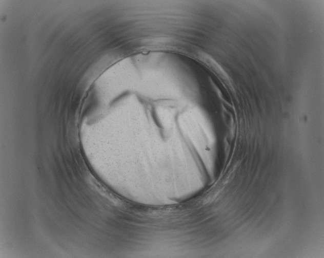 X0000074211386200609151545