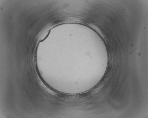 X0000074211387200609151545