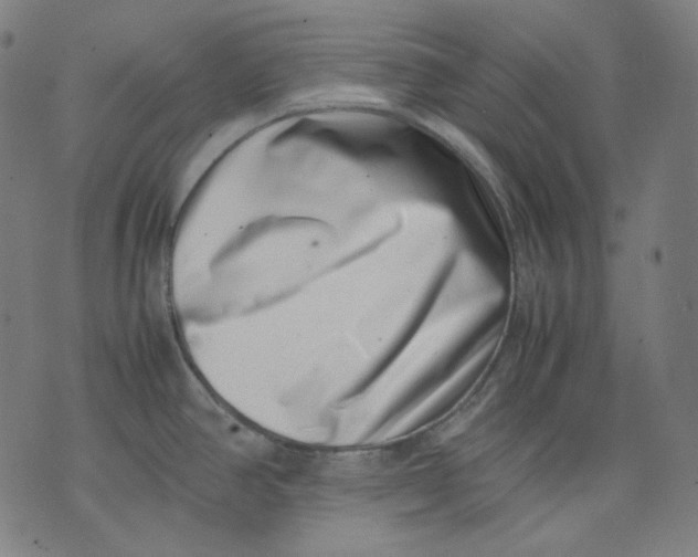 X0000074211390200609151545