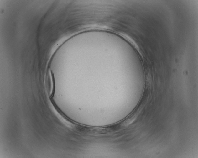 X0000074211391200609151545