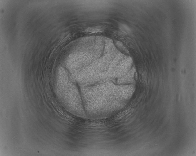 X0000074211393200609151544