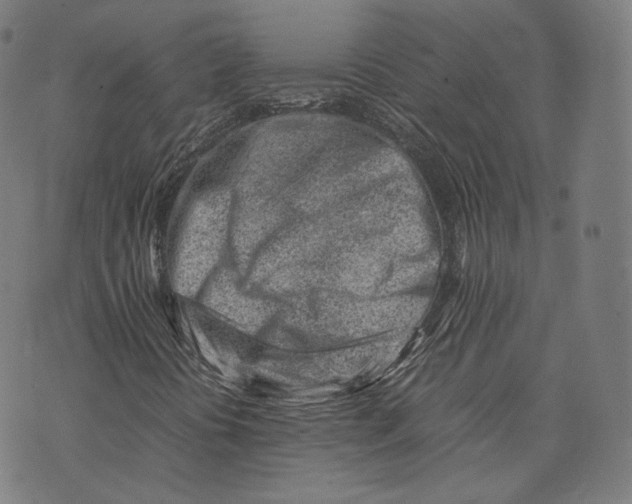 X0000074211394200609151544