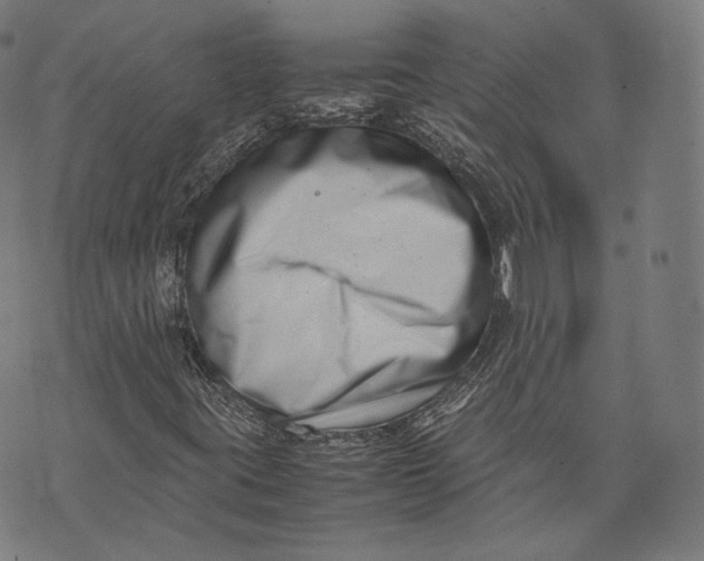 X0000074211395200609151544