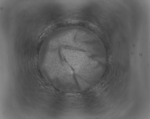 X0000074211397200609151544