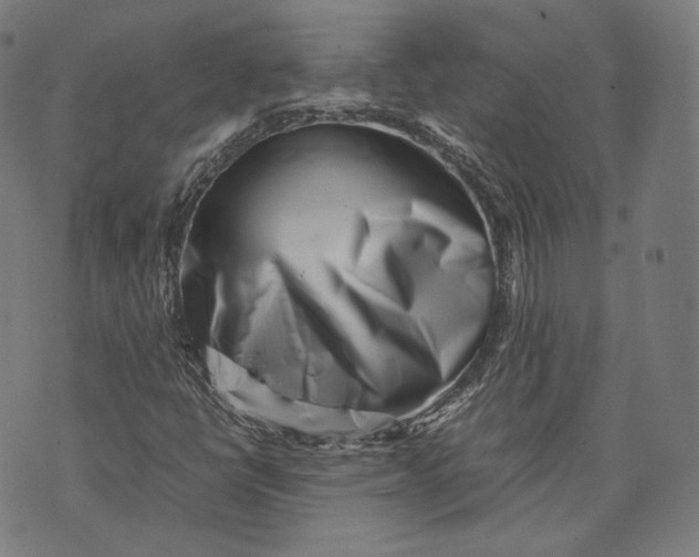 X0000074211398200609151544