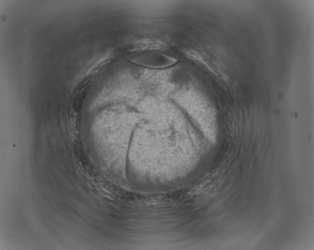 X0000074211399200609151544