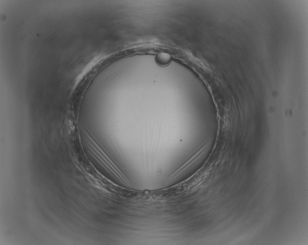 X0000074211400200609151544