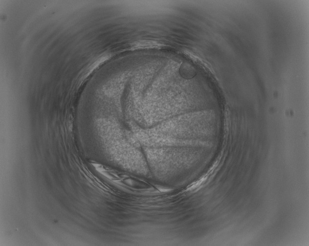 X0000074211401200609151544