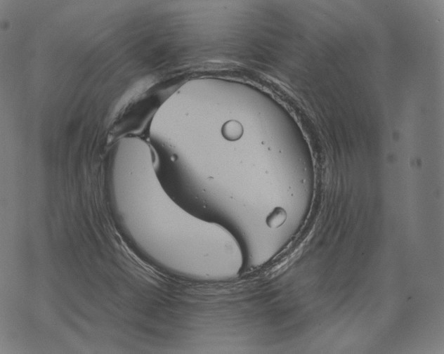 X0000074211402200609151544