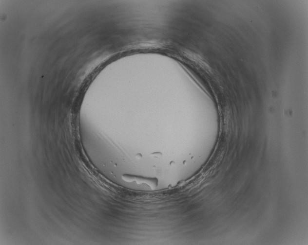 X0000074211404200609151545