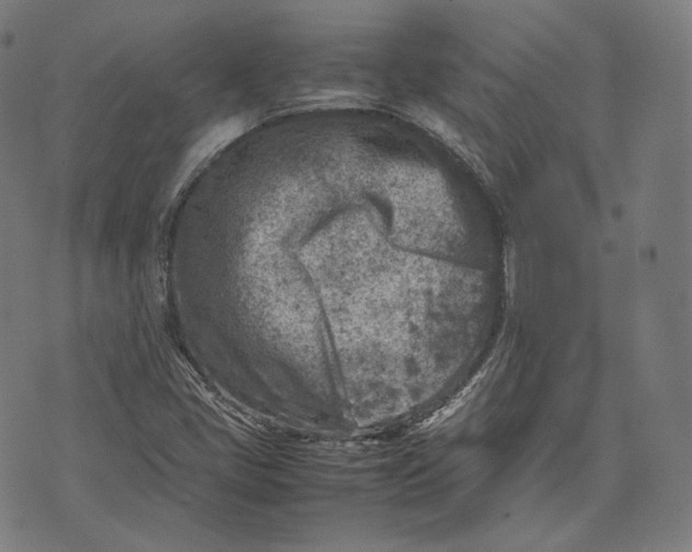 X0000074211405200609151545