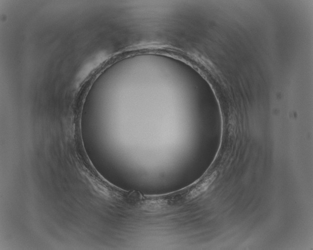 X0000074211406200609151545