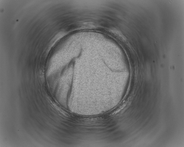 X0000074211409200609151545