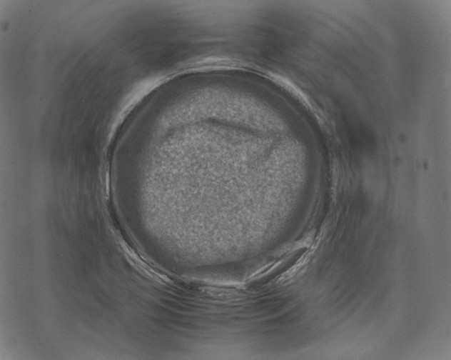 X0000074211413200609151545