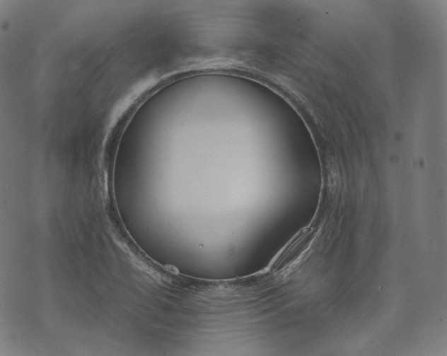 X0000074211414200609151545