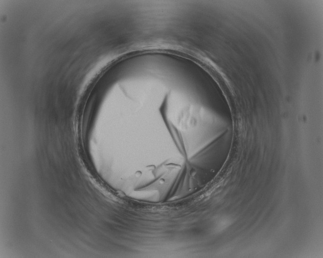 X0000074211416200609151545