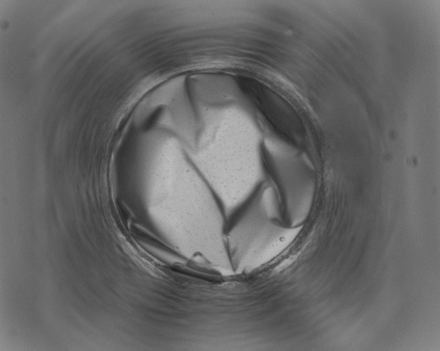 X0000074211417200609151545