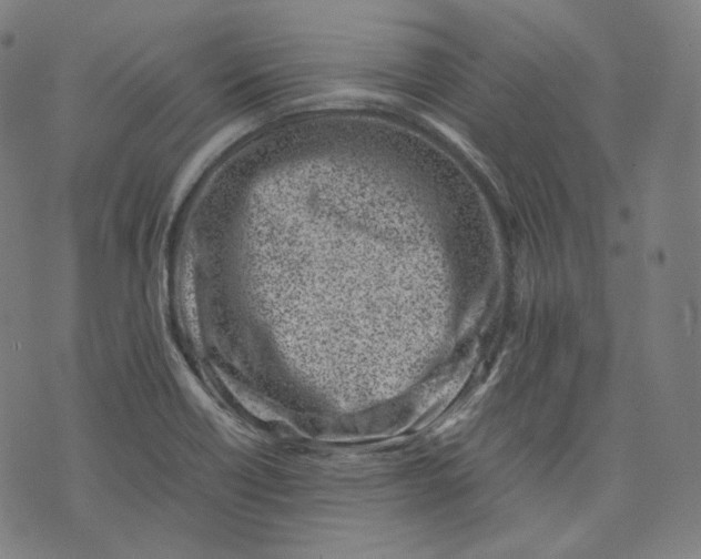 X0000074211418200609151545