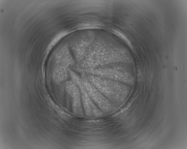 X0000074211419200609151545