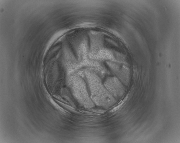 X0000074211421200609151545