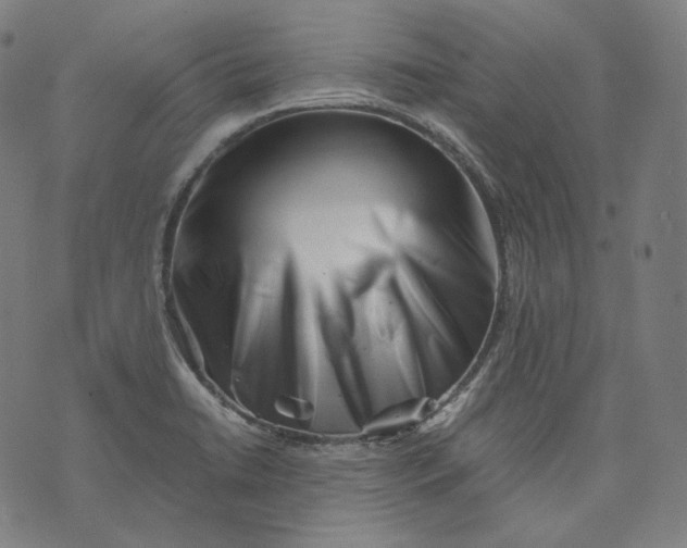 X0000074211422200609151545