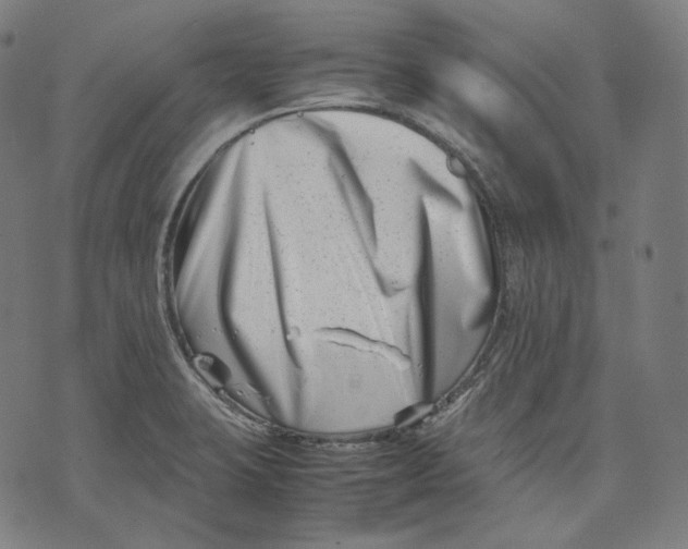 X0000074211423200609151545