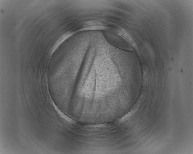 X0000074211425200609151545