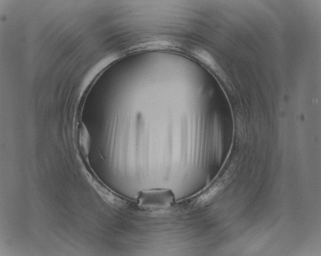 X0000074211426200609151545