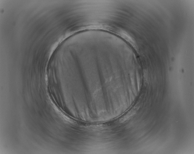 X0000074211428200609151545