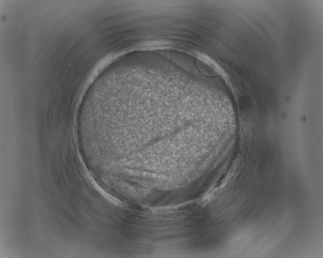 X0000074211429200609151545