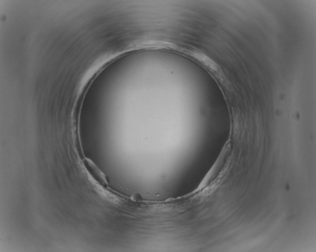 X0000074211430200609151545