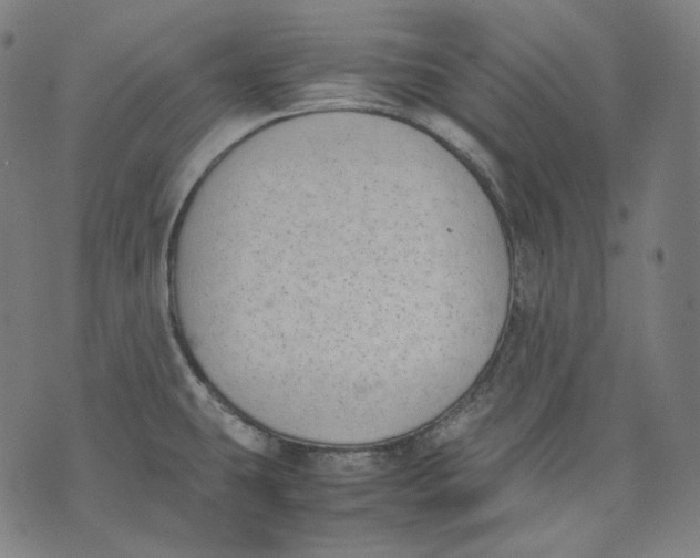 X0000074211431200609151545