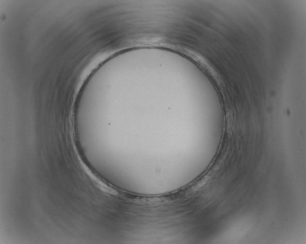 X0000074211432200609151545