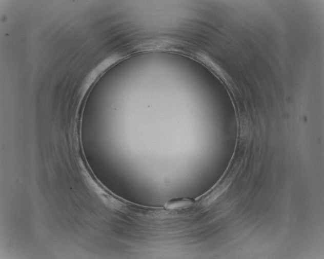 X0000074211434200609151545