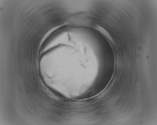 X0000074211436200609151545