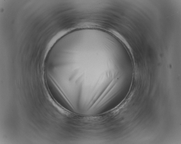 X0000074211437200609151545